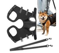 Arnés de elevación para perros, arnés de soporte de recuperación para cachorros, transpirable, cómodo, ajustable, para caminar al aire libre