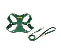 Arnés de entrenamiento para perros y correa para caminar chaleco de entrenamiento de pecho para mascotas, liberación rápida, chaleco de control fácil y senderismo