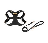 Arnés de entrenamiento para perros y correa para caminar chaleco de entrenamiento de pecho para mascotas, liberación rápida, chaleco de control fácil y senderismo