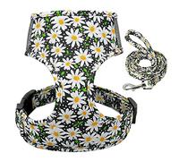 Arnés de Malla Nailon con Estampado Plomo for Perros y Gatos pequeños, Conjunto Correa Chaleco Reflectante Acolchado Suave DM(C,S)