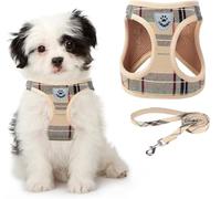 Arnés de Malla Suave a Cuadros para Cachorros, Juego de arnés y Correa para Perros pequeños, Chaleco Reflectante Acolchado Ajustable y cómodo para Cachorros y Razas pequeñas Que Caminan