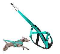 Arnés de perro de trineo, arnés reflectante para perros grandes, cómodo arnés ajustable para entrenamiento de trineo, actividades al aire libre