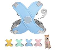 Arnés de Perros con Correa de Correa y cómodo y cómodo Paso Reflectante, Suave y Acolchado en Chaleco de Perros sin estrangulamiento, tamaños pequeños medianos pequeños Anti-Breakaway no-Chew (Rosa,