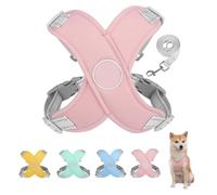 Arnés de Perros con Correa de Correa y cómodo y cómodo Paso Reflectante, Suave y Acolchado en Chaleco de Perros sin estrangulamiento, tamaños pequeños medianos pequeños Anti-Breakaway no-Chew (Rosa,