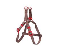 arnés de Poliamida Multicolor, Pack de 4 Unidades, Resistente y Ajustable, Ideal para Mascotas, Entrenamiento y Seguridad.