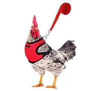 Arnés de pollo ajustable con correa, arnés de pollo para pollos transpirable, elástico, cómodo, transpirable, arnés para mascotas para pato, ganso, gallina, para entrenamiento de correr (3 unidades)