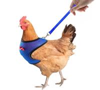 Arnés de pollo para gallinas, chaleco de arnés de pollo | Arnés de cuerda de tracción de pollo ajustable - Vestible de 3.6 pies Cordera de entrenamiento, suministros para mascotas para gallinas, patos