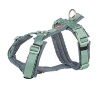 Arnés de senderismo premium para perro - Color del Producto: Verde | Mediciones: 53-64 cm/20 mm
