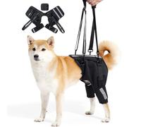 Arnés de Soporte Canino Ajustable para Patas Traseras | Sistema de Movilidad para Perros Grandes/Mayores con Debilidad Muscular, Rehabilitación Postquirúrgica