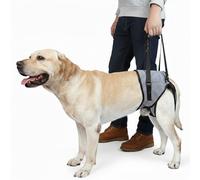 Arnés de Soporte para Perros con Movilidad Reducida - Arnés de Levantamiento para Patas Traseras, Ayuda a Caminar Tras Operación o Lesión, Correa de Rehabilitación Reflectante, Talla L (18-26kg) Gris