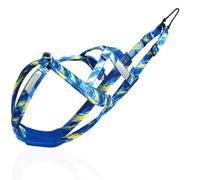 Arnés de Trineo for Perros al Aire Libre Husky Labrador Coche Correa for Mascotas, arnés for Mascotas, Correa for Mascotas, Correa for mascotas/273 (Color : Blue, Size : Medium)