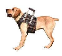 Arnés del Ascensor de Perros, de Discotación Profesional Desmontable con Perros Que Respiran el Cinturón Auxiliar Ajustable para Perros Altamente Envejecidos para el Exterior (L (20-30 kg /