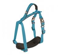 Arnés Explor North para perros - Duvo Plus - Tamaño: Número 1 | Color del Producto: Azul petróleo