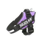 Arnés IDC Power, Tamaño: L/1, Morado