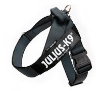 Arnés JULIUS - Color & Gray - Tamaño: XS | Color del Producto: Negro