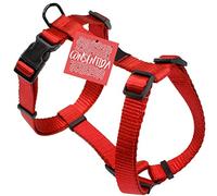 Arnés Liso para Perro Pequeño T1 - Talla S 20 - 40 x 1 cm - Color Rojo - Tejido Resistente Fabricado en Nylon - Abrochado Fácil - Accesorios para Perros - Consentida