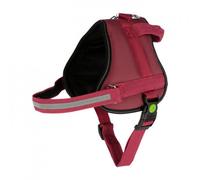 Arnés Maestro 2.0 para perro - Kerbl - Color: Burdeos | Mediciones: 57-77 cm/20 mm