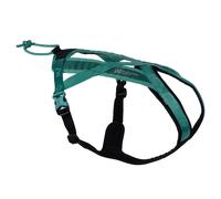 Arnés Non-Stop Dogwear Rush Teal Para Perros Activos Canicross Perros De Tiro
