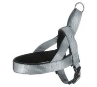Flamingo ARNES Noruego Abbi Gris XL 65-80CM 25MM