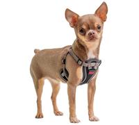 Arnés para Cachorros Halti Anatomía | Tamaño XXS, Gris | Neopreno acolchado con fácil de poner con 4 puntos de ajuste. Adecuado para razas pequeñas como perros salchicha y pomerania