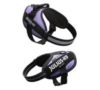 Arnés Julius K9 IDC Purpura - Mini-Mini