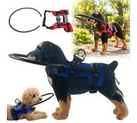 Arnés Para Ciego, Anillo De Perro Ciego, Fácil De Fijar Ajustable，Azul：M | Círculo De Protección De Animales Ciegos, Protector De Parachoques, Crea Confianza Mascotas Ciegas, Accesorios Anticolisión