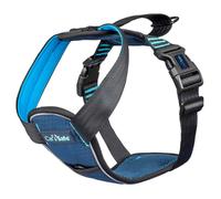 Arnés para el coche safe crash tested azul x-small