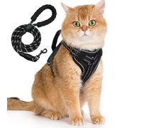 Arnés para Gato con Correa, Arnés Seguridad con Rayas Reflectantes, Juego de Arnés Antiescape con Correa y Anilla en D, Arnes Chaleco para Gatito y Cachorros, Kitten Cat Harness (M/6.5-9.5kg)