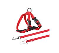 Cinto De Segurança p/ Gatos