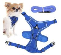 Arnés para gatos antiescapes, arnés para gatos antiescape | Correa para correr para gatos - Conjunto de arnés y correa para gatos, para gatitos y cachorros, arnés reflectante antiescape para chato