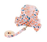 Arnés para Gatos, Chaleco para Perros, Flor para Mascotas con Correa, Cuerda, Malla Transpirable, arneses de tracción Estampados con Lazo, Suministros para Gatos (Rosa Claro M)