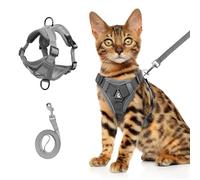 Arnés para gatos con correa a prueba de fugas, ajustable, suave, transpirable, reflectante, gris, tallas S-XL (gris, L)
