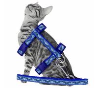 Arnés para gatos con correa de GogiPet® "Gatito azul"
