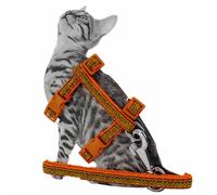 Arnés para gatos con correa de GogiPet® "Gatito naranja"