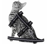 Arnés para gatos con correa de GogiPet® "Gatito negro"