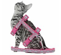Arnés para gatos con correa de GogiPet® "Gatito rosa"
