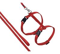 ARNÉS para Gatos + Correa ZIGGI Rojo 20-35CM 10M