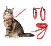 Gato Arnés con Correa Gatos Grandes Elza Rojo Coral 22-32cm 35-56cm 120cm 12mm
