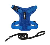 Arnés para Gatos Voyager Step-in Lock y Correa Reflectante para Gatos, Mango de Neopreno de Best Pet Supplies - para Gatos pequeños, medianos y Grandes, Azul Real, Talla XS - 1,5 m