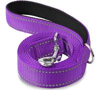 Arnés para gatos y perros, correa de plomo reflectante nocturno, cuerda de remolque para perro, 1,2/1,5/1,8 m, cuerda de protección, correa de entrenamiento para caminar para mascotas (morado, 2,5 x