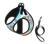 Arnés para perro A Joyful Holiday by The Seaside, equipado con correas reflectantes y hebillas de liberación rápida, adecuado para gatos y perros pequeños