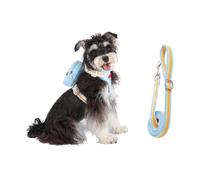 Arnés para Perro | Accesorio para Mascotas Transpirable y Reflectante, arnés antitracción con Cuerda y Correa, para Cachorro pequeño Mediano Grande, Paseos y Actividades