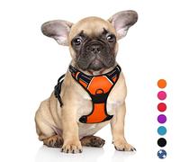 Arnés para Perro Barkbay con Clip Frontal y Mango de fácil Control para Caminar, Entrenar, Correr