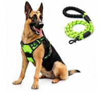 Arnés para Perro Bihotzak con Correa a Juego, Perro Mediano, Pequeño, Grande, Arnés Pechera Antitirones, Ajustable, con Cierres de Seguridad, Lineas Reflectantes, Correa 1,2 Metros.