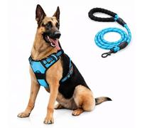 Arnés para Perro Bihotzak con Correa a Juego, Perro Mediano, Pequeño, Grande, Arnés Pechera Antitirones, Ajustable, con Cierres de Seguridad, Lineas Reflectantes, Correa 1,2 Metros.