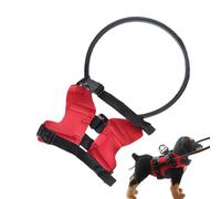 Arnés para perro ciego - Collar de anillo de seguridad rojo, protección contra golpes para mascotas, equipo de ayuda para entrenamiento de ceguera al aire libre, chaleco protector para caminar