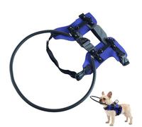 Arnés para perro ciego - Collar de arnés para gatos con discapacidad visual con tiras reflectantes, collar guía suave para mascotas | para interiores y exteriores, caminar, senderismo, viajes