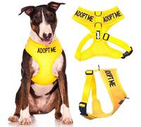Arnés para perro con codificado de color amarillo y texto en inglés "Adopt Me" (necesito de una nueva casa), acolchado, resistente al agua, con anilla en D frontal para evitar los tirones, para prevenir accidentes indicando a los demás de la situación de tu perro