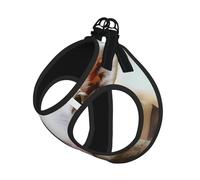 Arnés para perro con correa para mascotas, tamaño pequeño, divertido lengua de oveja traviesa, lindo estampado de animales, ajustable para viajes al aire libre y caminar