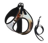 Arnés para perro con correa para mascotas, tamaño pequeño, divertido lengua de oveja traviesa, lindo estampado de animales, ajustable para viajes al aire libre y caminar